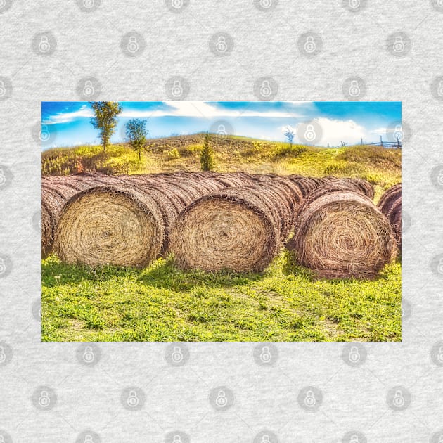 Hay Bales 5 by Robert Alsop